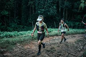 BIB: 
                            <button type="button" onclick="openModal(26142208)" class="btn btn-primary btn-sm float-right btn-popup" data-toggle="modal" data-target=".modal-high-quality">
                        <i class="fas fa-shopping-cart"></i> Add to Cart
                    </button>
                                            <button type="button" onclick="isThisMe(26142208, true)" class="btn btn-success btn-sm float-right btn-popup btn-isme hidden" data-toggle="tooltip" data-placement="bottom" title="นี่คือรูปของคุณใช่ไหม คลิกที่นี่เพื่อเอาเข้าอัลบั้ม">
                        <i class="fas fa-plus"></i> Add to album
                    </button>
                    <button type="button" onclick="isThisMe(26142208, false)" class="btn btn-warning btn-sm float-right btn-popup btn-isnotme hidden">
                        <i class="fas fa-ban"></i> Remove from album
                    </button>